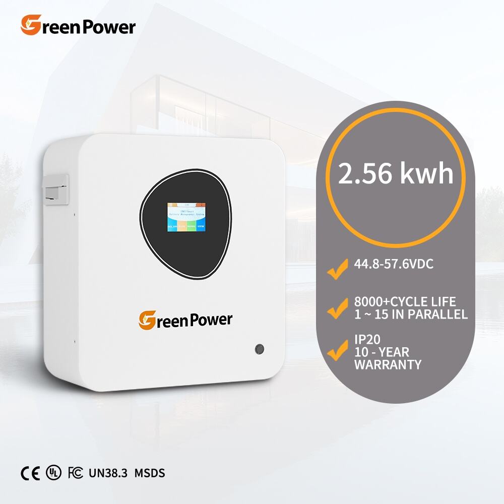 2.56kwh LiFePO4 IP20 Waterproof Dustproof 100AH Built-in BMS System Vertical Rechargeable 25.6V Lithium Ion Battery