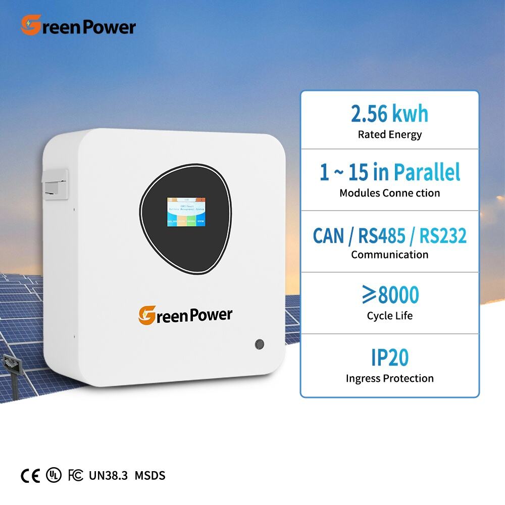 IP20 Waterproof Dustproof 2.56kWh 100Ah 12.8V 8000 Cycles Vertical Movable LiFePO4 Battery LFP Home Storage System Solar Energy