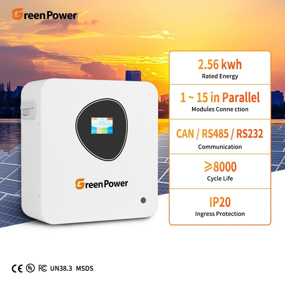 GreenPower IP20 Waterproof Dustproof Lithium Lifepo4 Battery 25.6V 12.8V 2.56Kwh 100Ah House Solar Energy System Battery