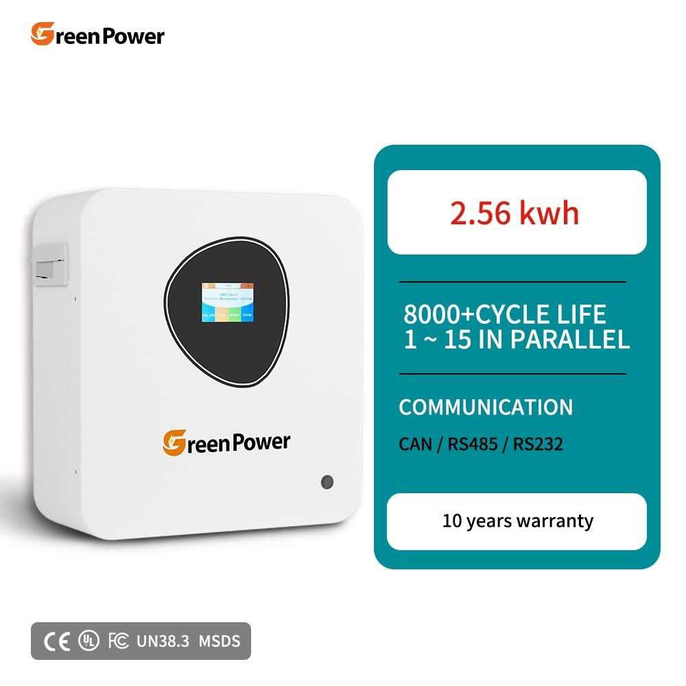 IP20 Waterproof 2.56kWh Sistema ng Imbakan Lithium 100ah 25.6V Lifepo4 Baterya Powerwall May Dambuwa para sa Pader ng Lakas na Pang-sambahayan