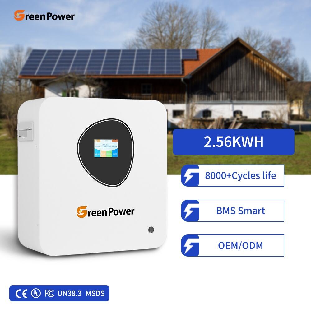 IP20 Waterproof Dustproof Removable Storage Battery 2.56 kWh 100Ah LiFePO4 Battery Hybrid Off-grid Solar Energy System