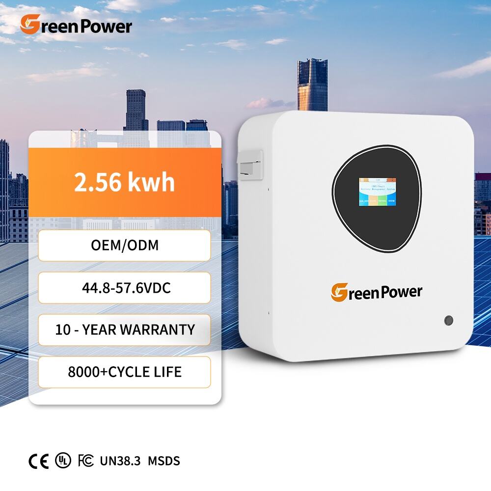 IP20 Waterproof Dustproof 8000 Deep Cycles Solar Energy Storage 25.6v 100ah Lifepo4 2.56Kwh Powerwall Solar Storage Battery