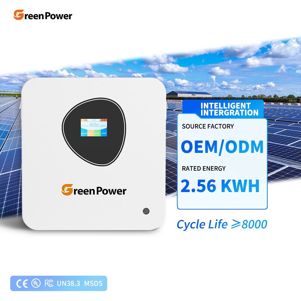IP20 Waterproof 25.6V 100ah Powerwall Solar System Lifepo4 Energy Powerwall 2.56kwh Lithium Battery Solar System Home