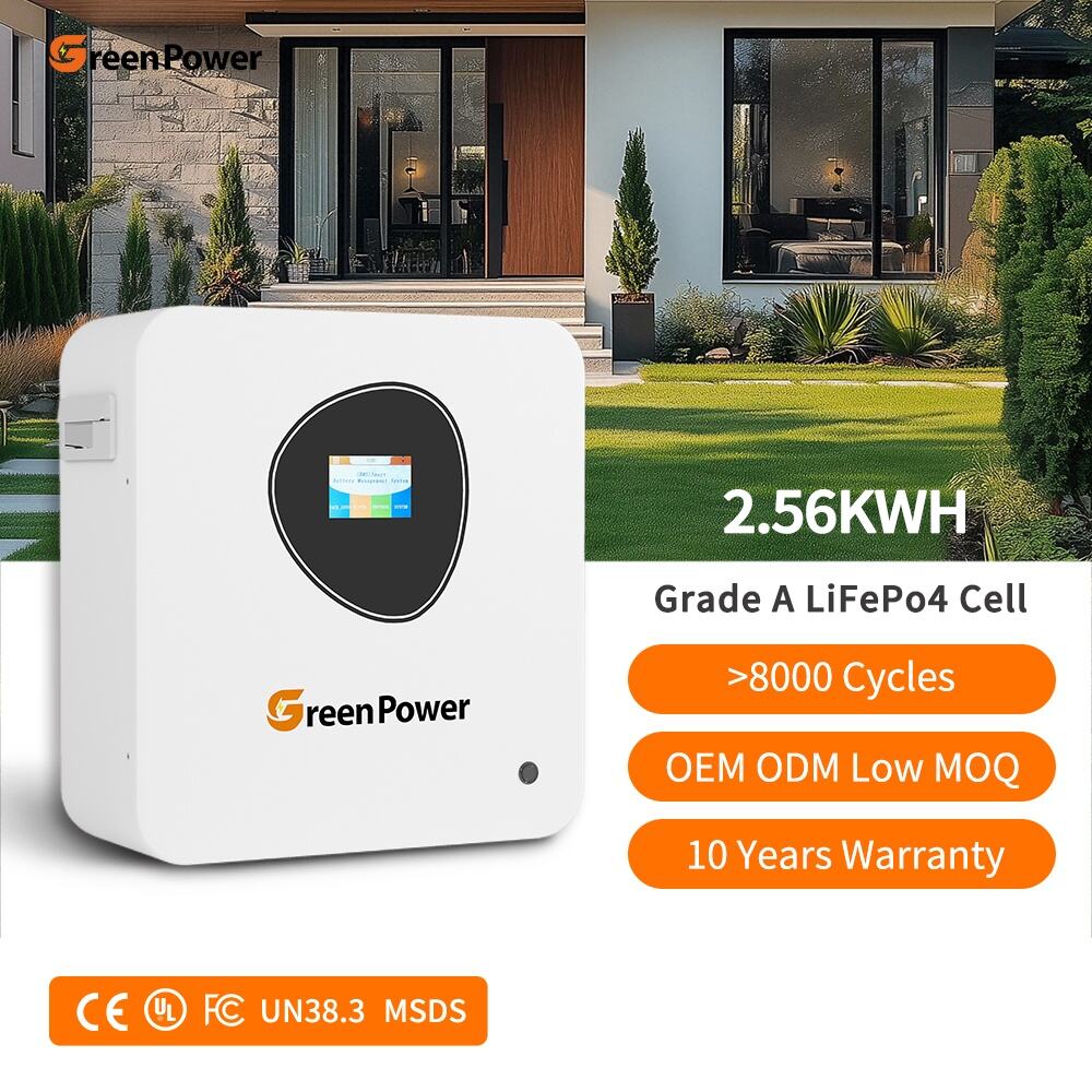 IP20 Waterproof Dustproof Powerwalll Mounted Lithuim Battery 25.6V 12.8V 100ah Solar 2.56KWh Solar System LiFepo4 Battery