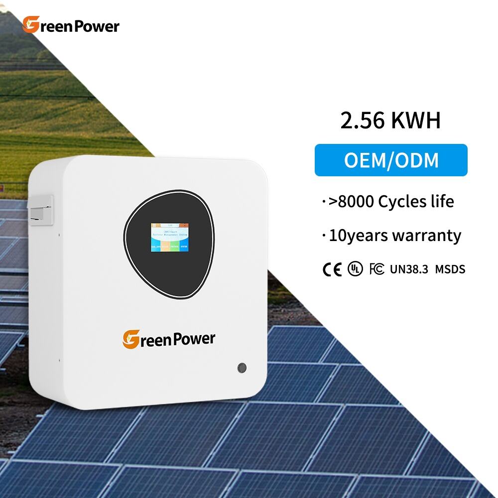 IP20 Waterproof 25.6V 100ah Mounted Lifepo4 Energy Powerwall 2.56kWh Lithium Solar Home Storage Battery