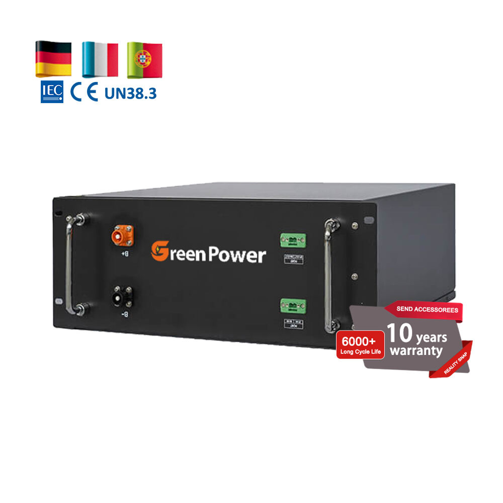 8000+ Cycles Rack Mount 48V Lifepo4 Battery With BMS 100Ah 200Ah 300Ah