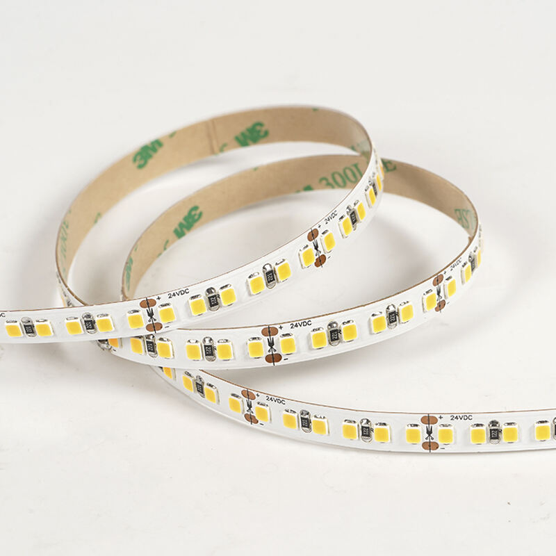 Flexible LED Light Strip SMD2835 DC24V 180LED/M 10MM Width 14W/M Living Room Bedroom Led Strip Light