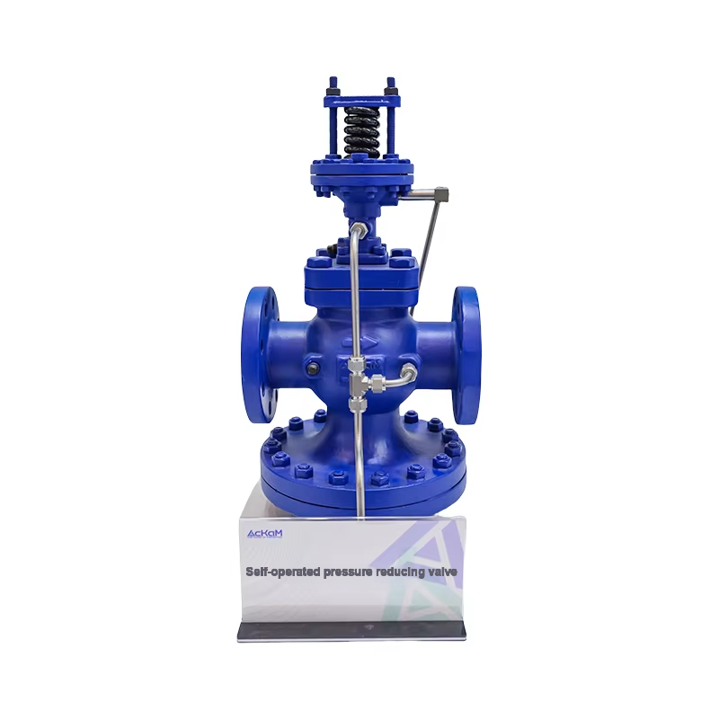 Resistant to Environmental Influences Steam Pressure Valve Reducer Accurate Easy to Maintain Pressure Valve Self-Operated