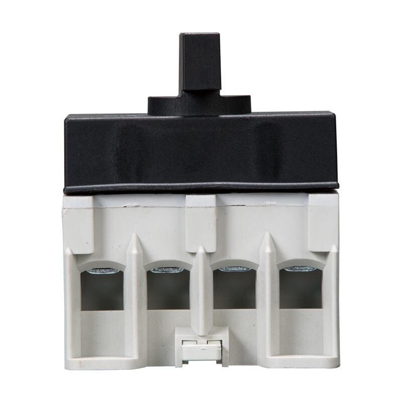 Zzaawansowane Wydajność i Niezawodność