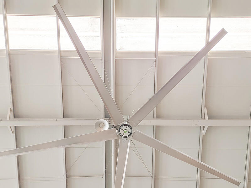 Cost Effective Dairy Barn Ventilation Fans with Comfortable Cooling for Livestock