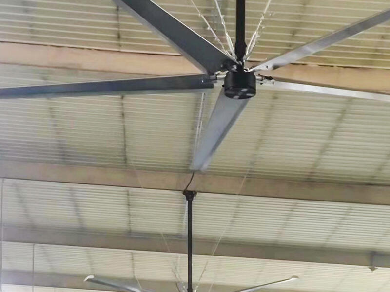 The Horse Stall Fan with The Best Technology