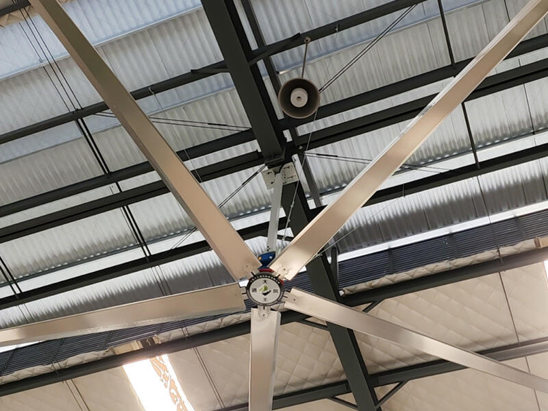 Enhance Your Cattle Shed with Dawangfan's High-Performance Fans