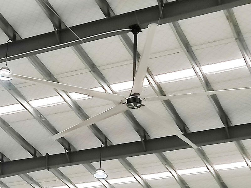 Best Ceiling Fans for Horse Barns - The Best Way to Ensure Comfort in Horse Barns