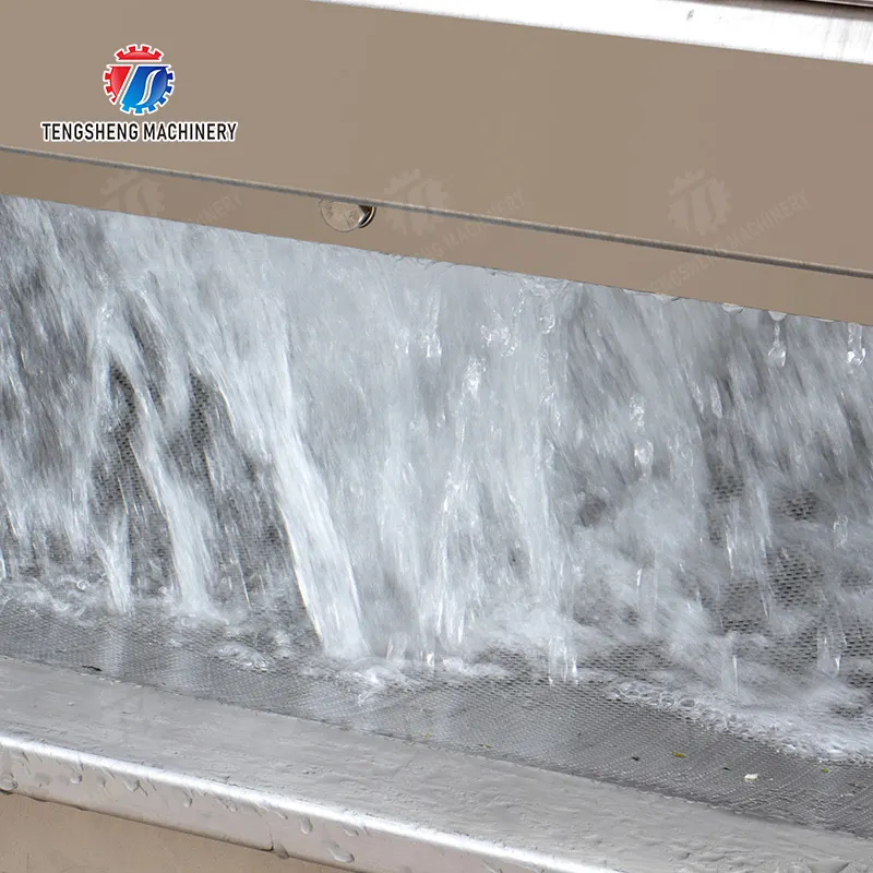 Tecnologia Avançada de Desinfecção com Ozônio