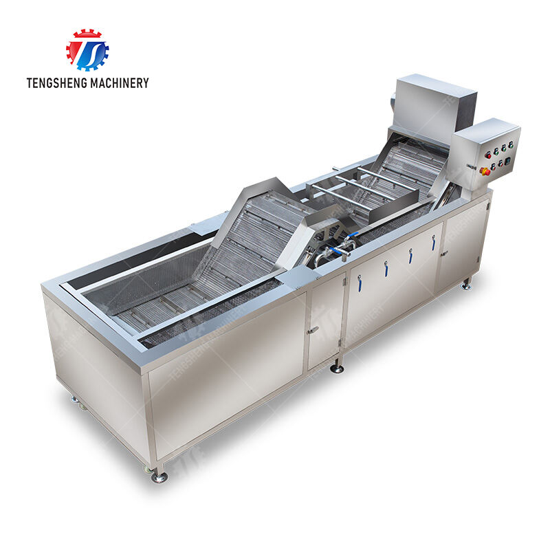 TS-X300C blanching machine (customized style)