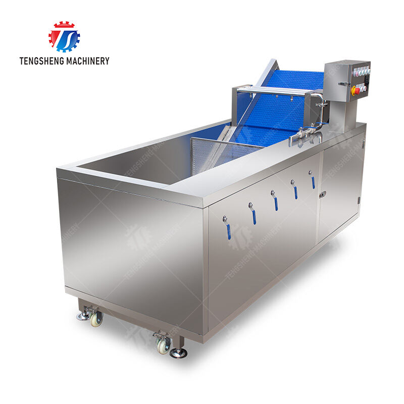 TS-X200 Vegetables bubble washing machine