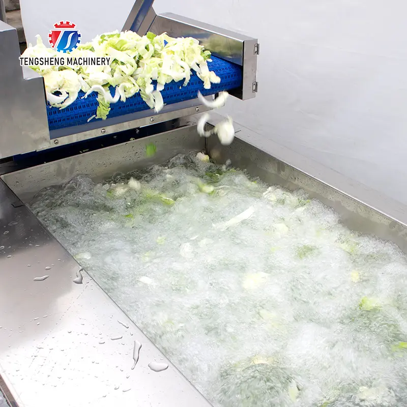 Enhancing Food Safety with Innovative Ozone Disinfection Systems