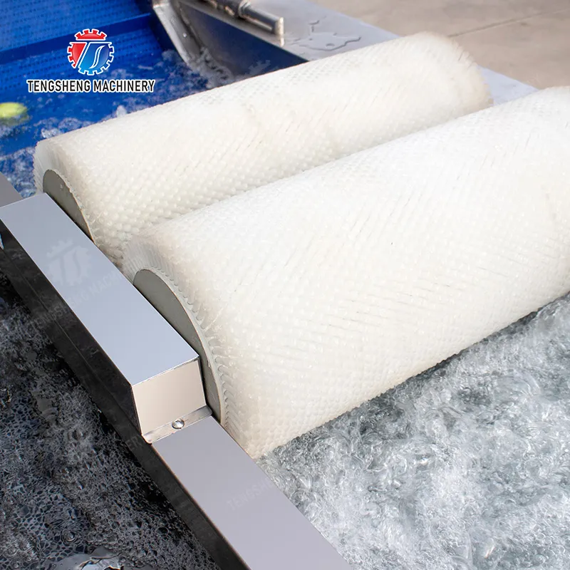 Experimente a Máxima Eficiência com Nossa Lavadora de Legumes