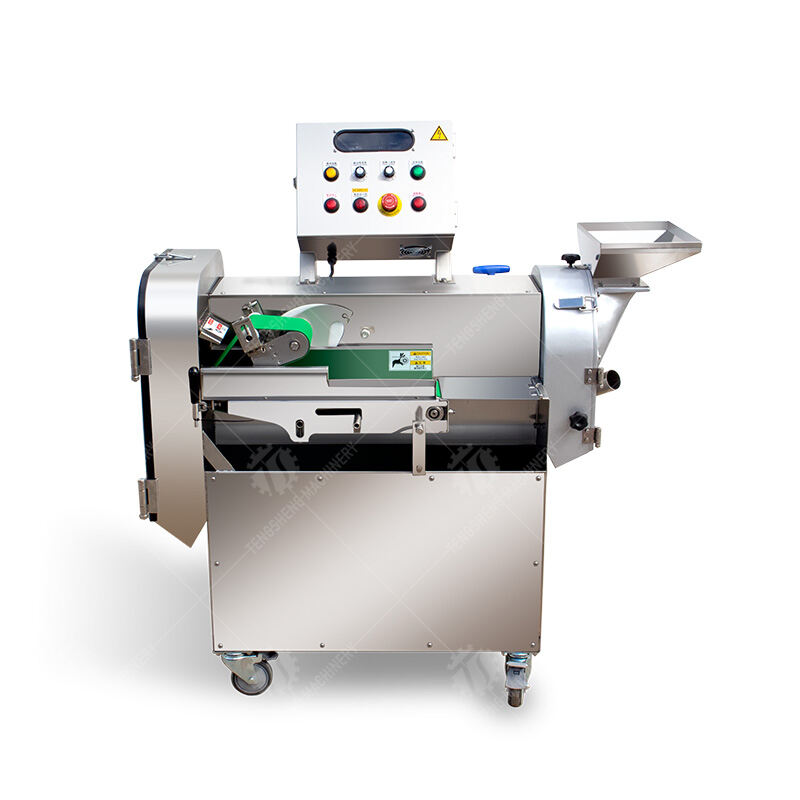 TS-Q118A Double-head vegetable cutting machine (conveyor belt can be removed )