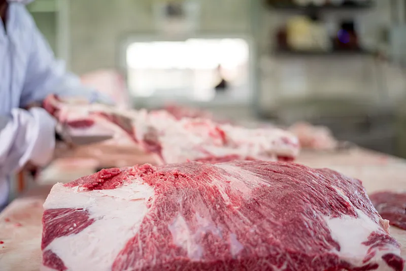 肉加工機器：食品産業における効率、安全性、品質のための革新
