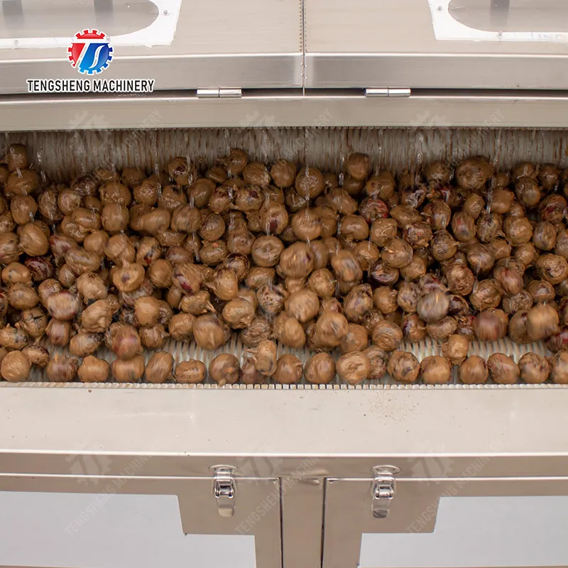 Technologie avancée de filtration pour un nettoyage supérieur