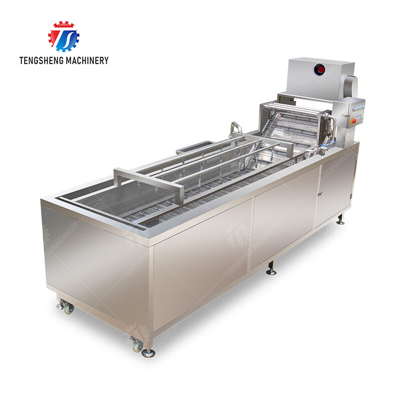 TS-X300A bubble cleaning machine