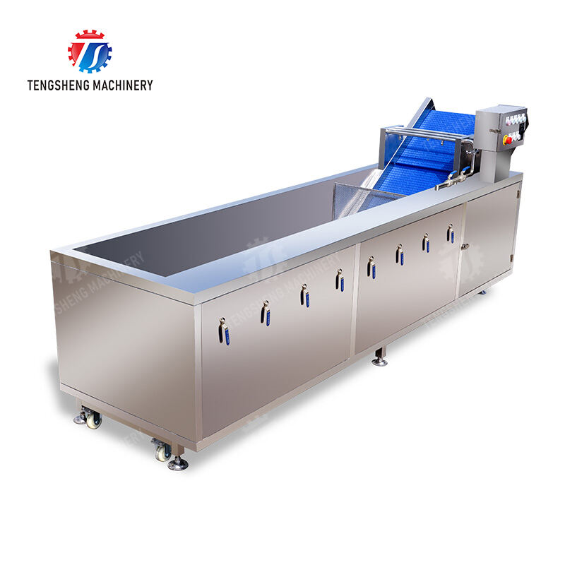 TS-X300 Vegetables bubble washing machine