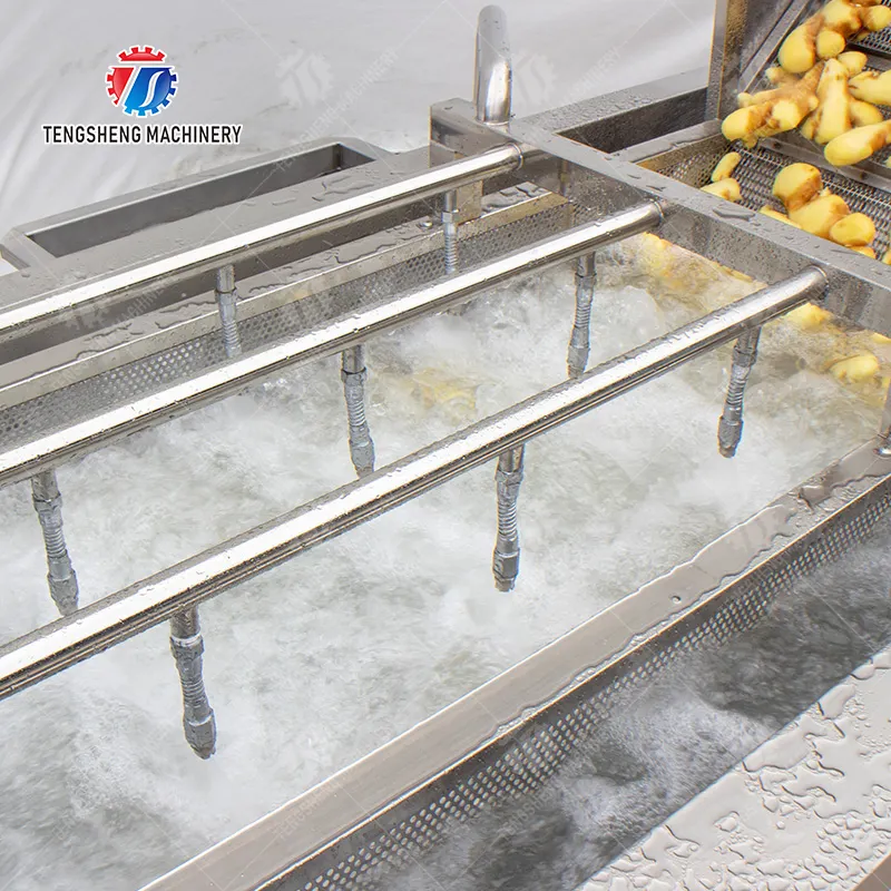 Die führende Wahl für die Installation von Gemüsewaschmaschinen