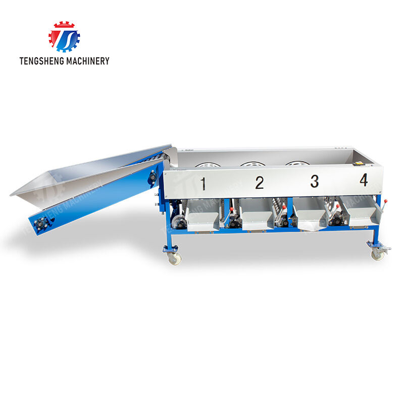TS-FS340 Fruit and vegetable sorting machine