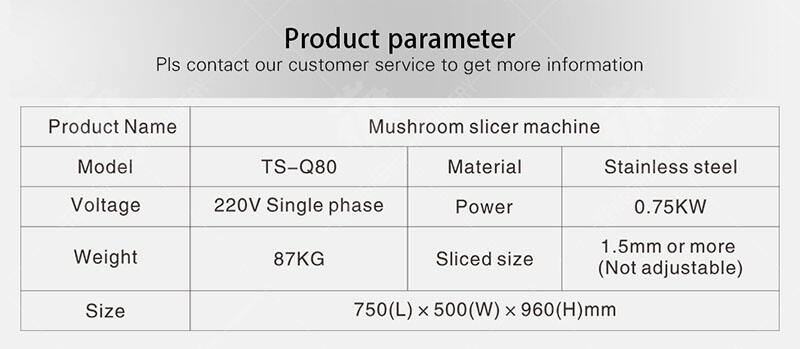TS-Q80-Details-page-01.jpg