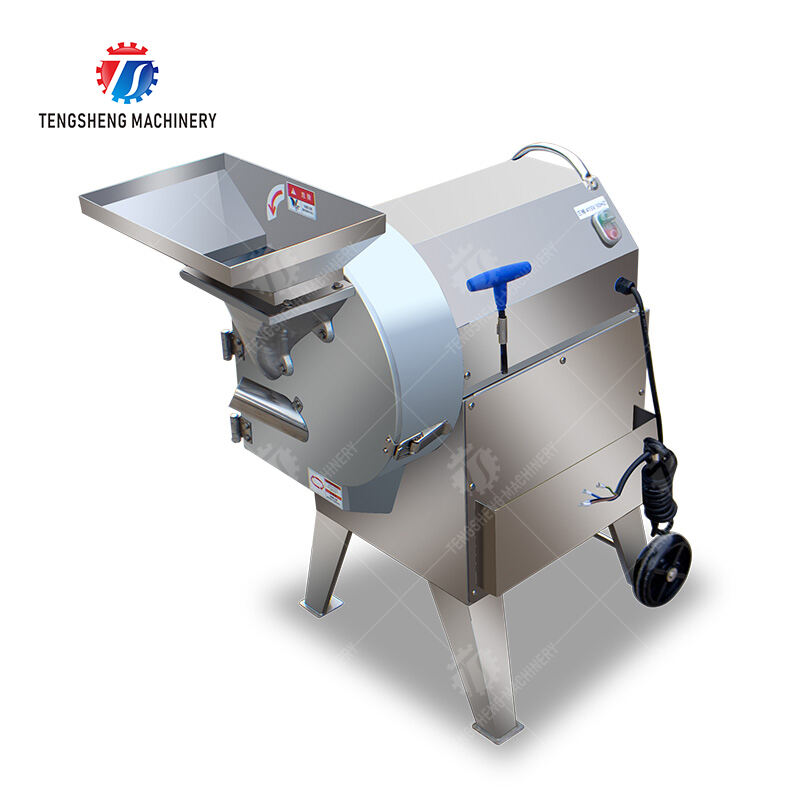 TS-Q112A-Root vegetable cutting machine