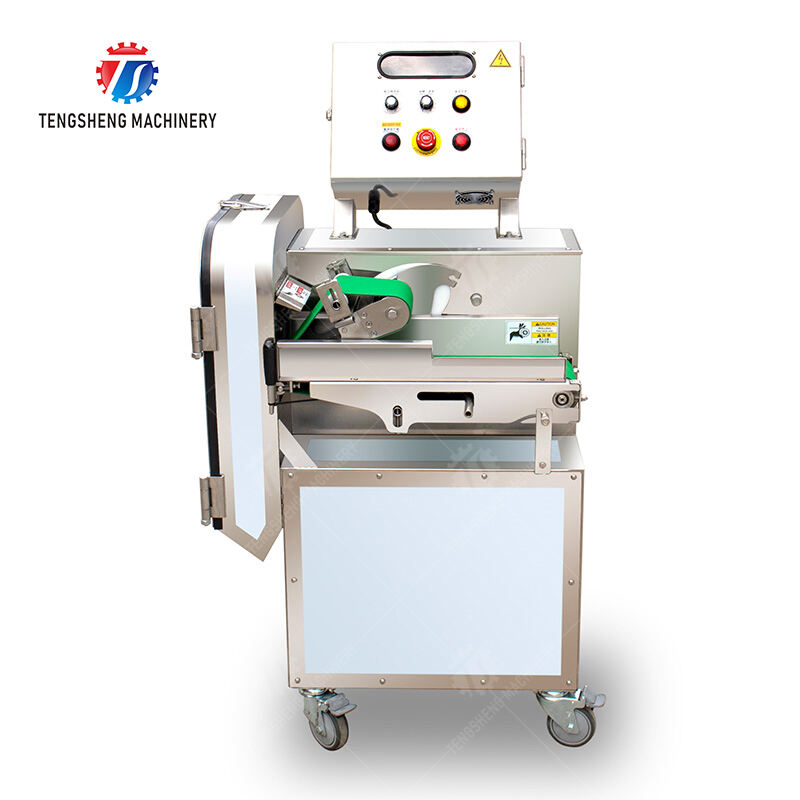 TS-Q115A Vegetable cutter (conveyor belt can be removed )