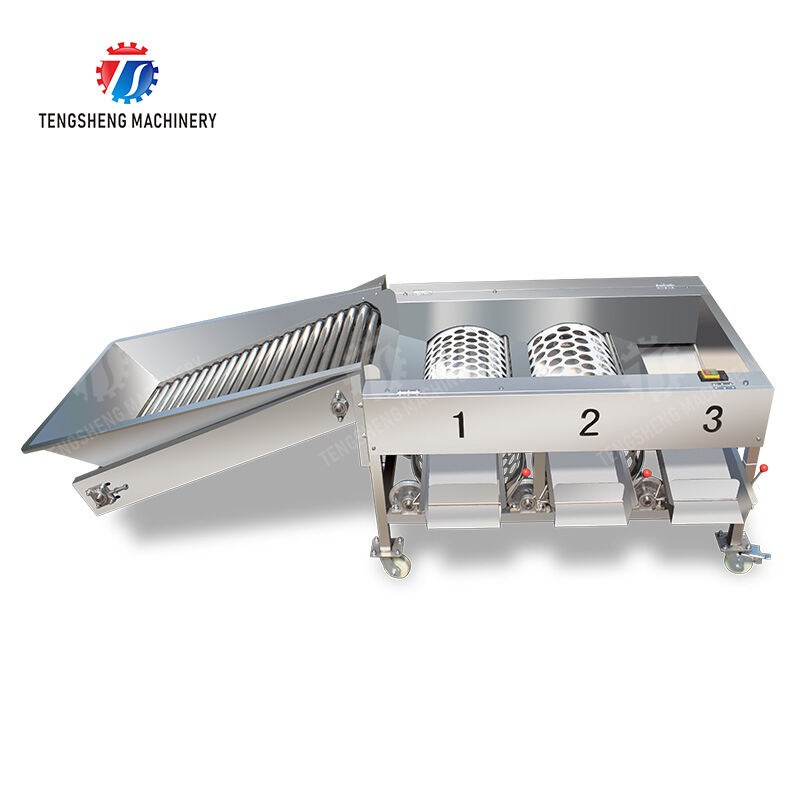 TS-FS230B Fruit and vegetable sorting machine