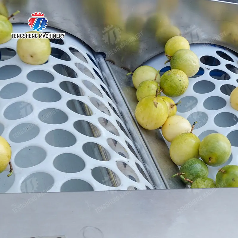 Weiterentwickelte Technologie zur Ozondesinfektion