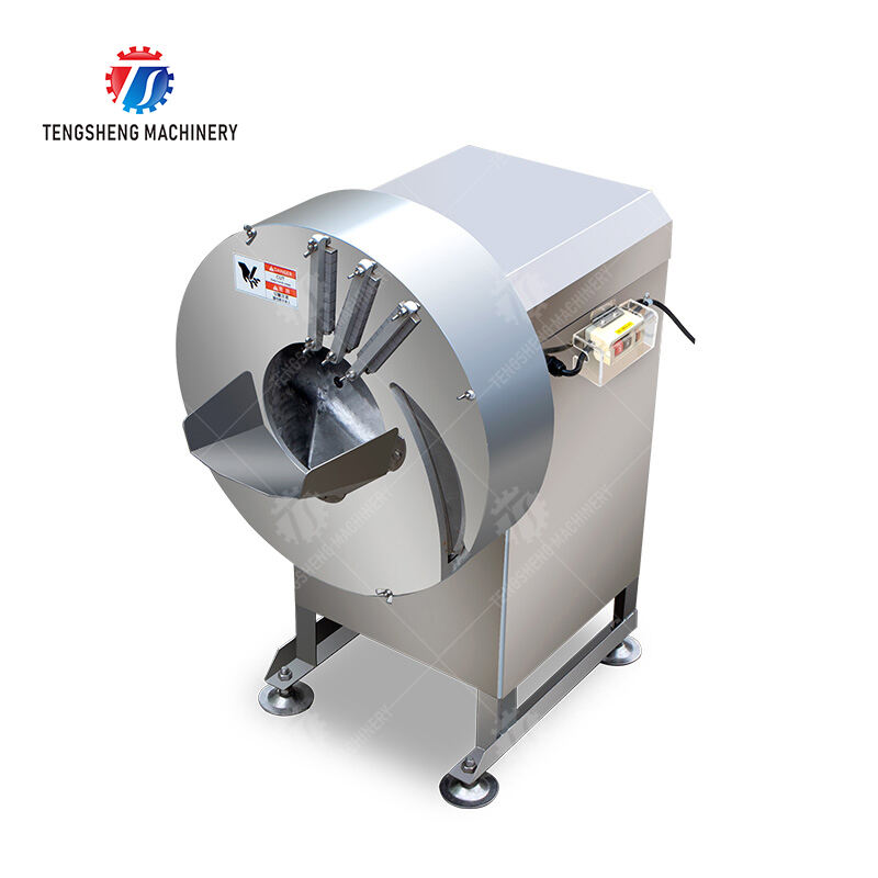 TS-Q100 Bamboo shoot shred machine