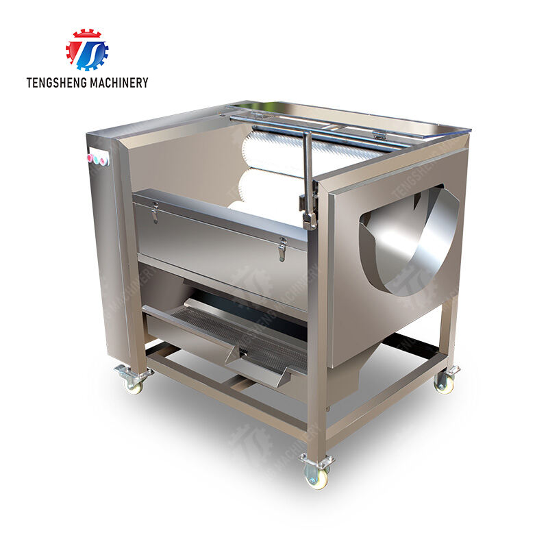 آلة غسيل وتقشير بالفرشاة TS-M300