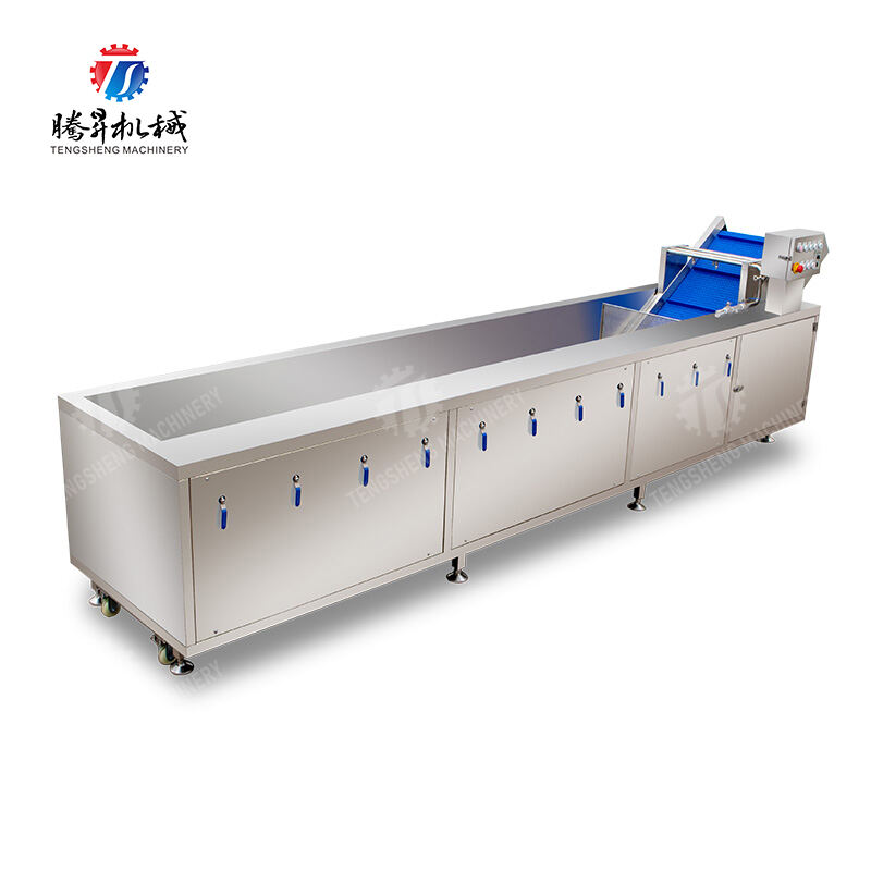 TS-X400 Vegetables bubble washing machine