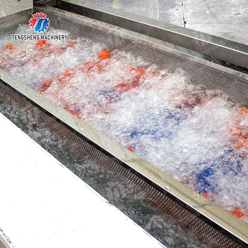 Unmatched Efficiency and Quality in Vegetable Washing