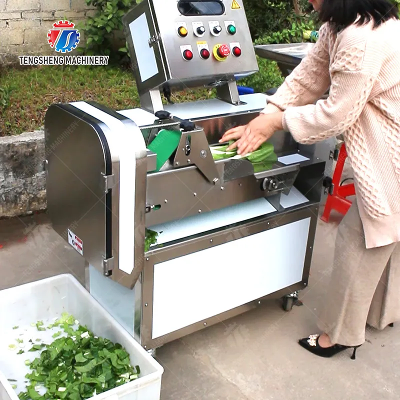 Which features matter most for a commercial vegetable cutting machine?