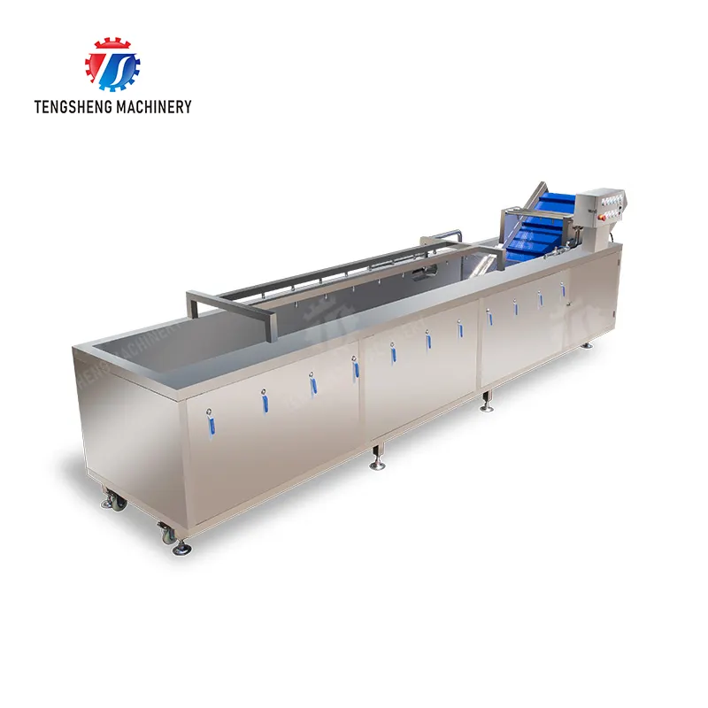 Fabricante líder de máquinas de limpeza de legumes