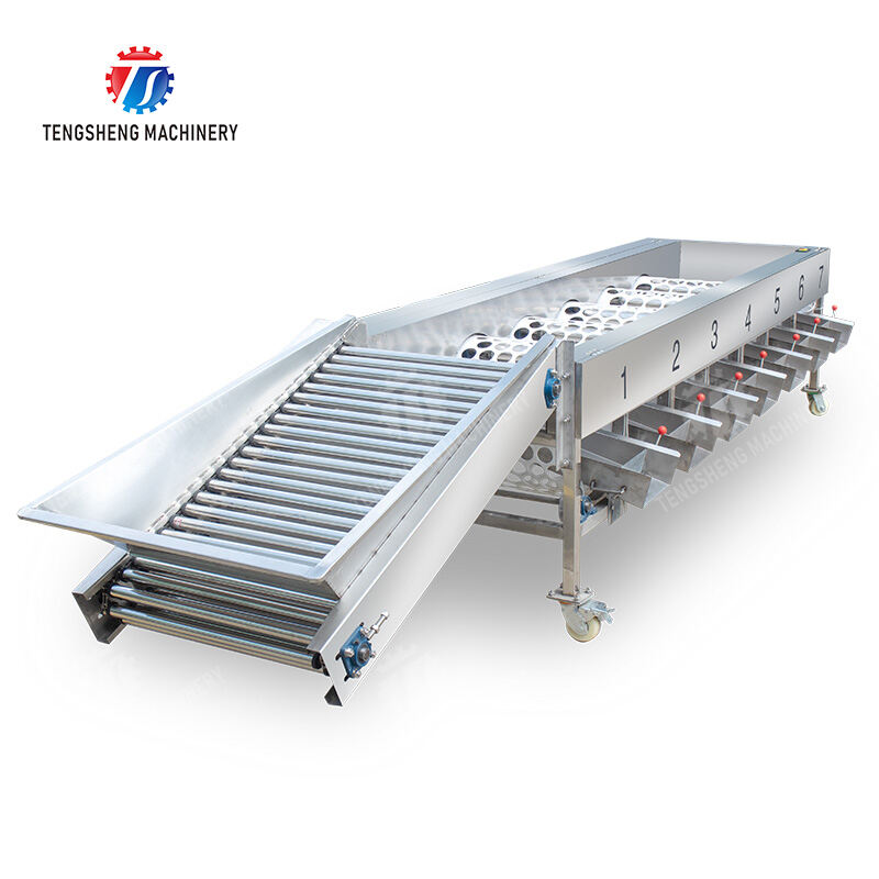 TS-FS670 Fruit Sorting Machine