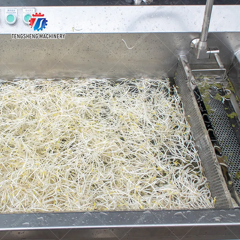 Premium Vegetable Washing Machines for Ready-to-Eat Meals