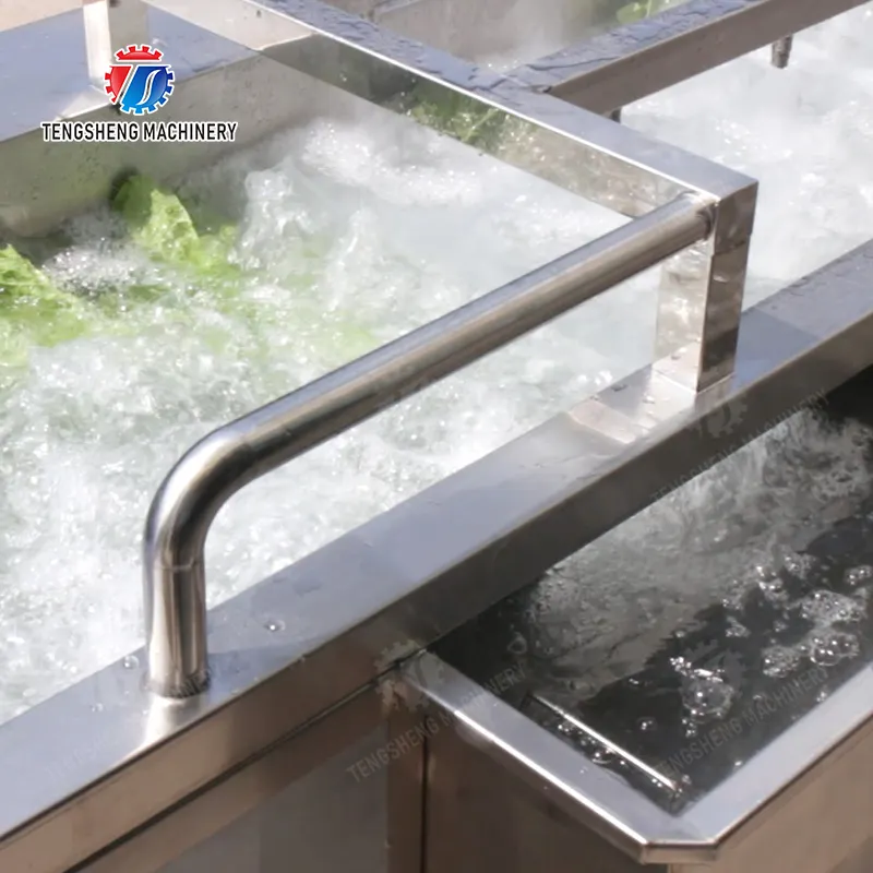 Enhance Your Food Processing with Our Vegetable Washing Machine for Lettuce
