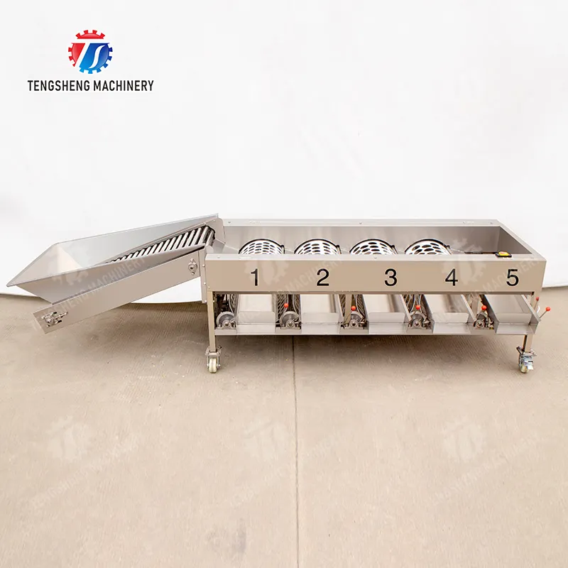 Vergleichbare Effizienz und Hygiene mit unserem Edelstahl-Gemüsewascher