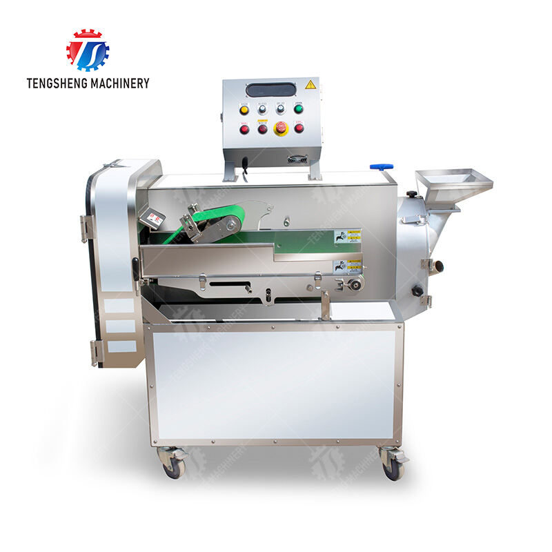 TS-Q118C Double-head vegetable cutting machine