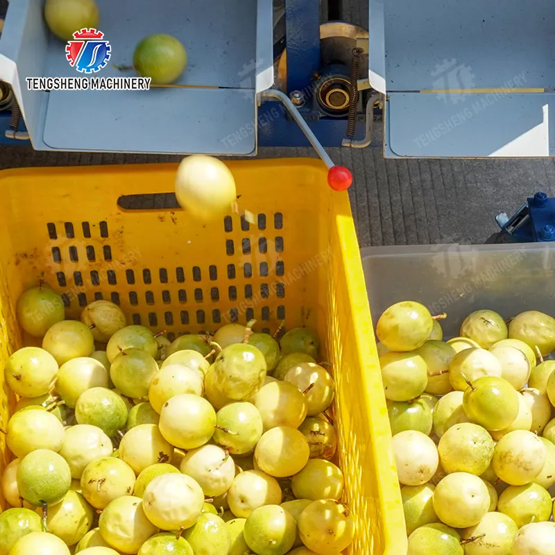 Anpassbare Lösungen für vielfältige Anforderungen