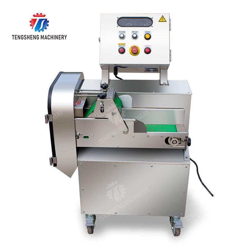 TS-Q115C cooked meat slicer machine