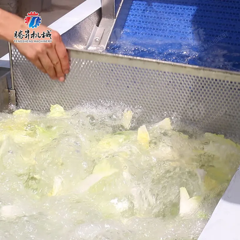 How to pick a water-saving fruit vegetable washing machine?