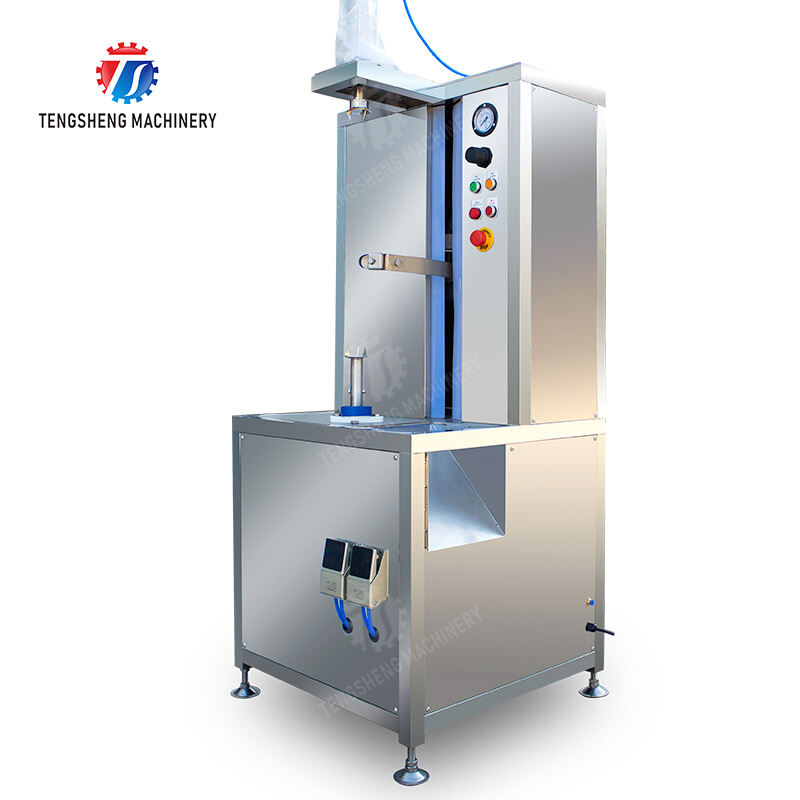 Máquina vertical de pelado con cuchilla única TS-P60