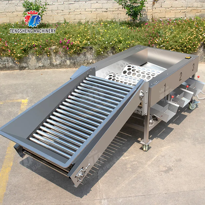 Vergleichbare Effizienz bei der Gemüsewäsche